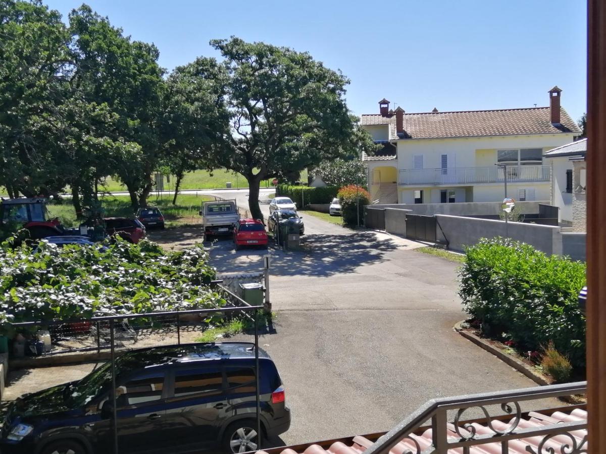 App Palcic K Lejlighed Novigrad Istria Eksteriør billede