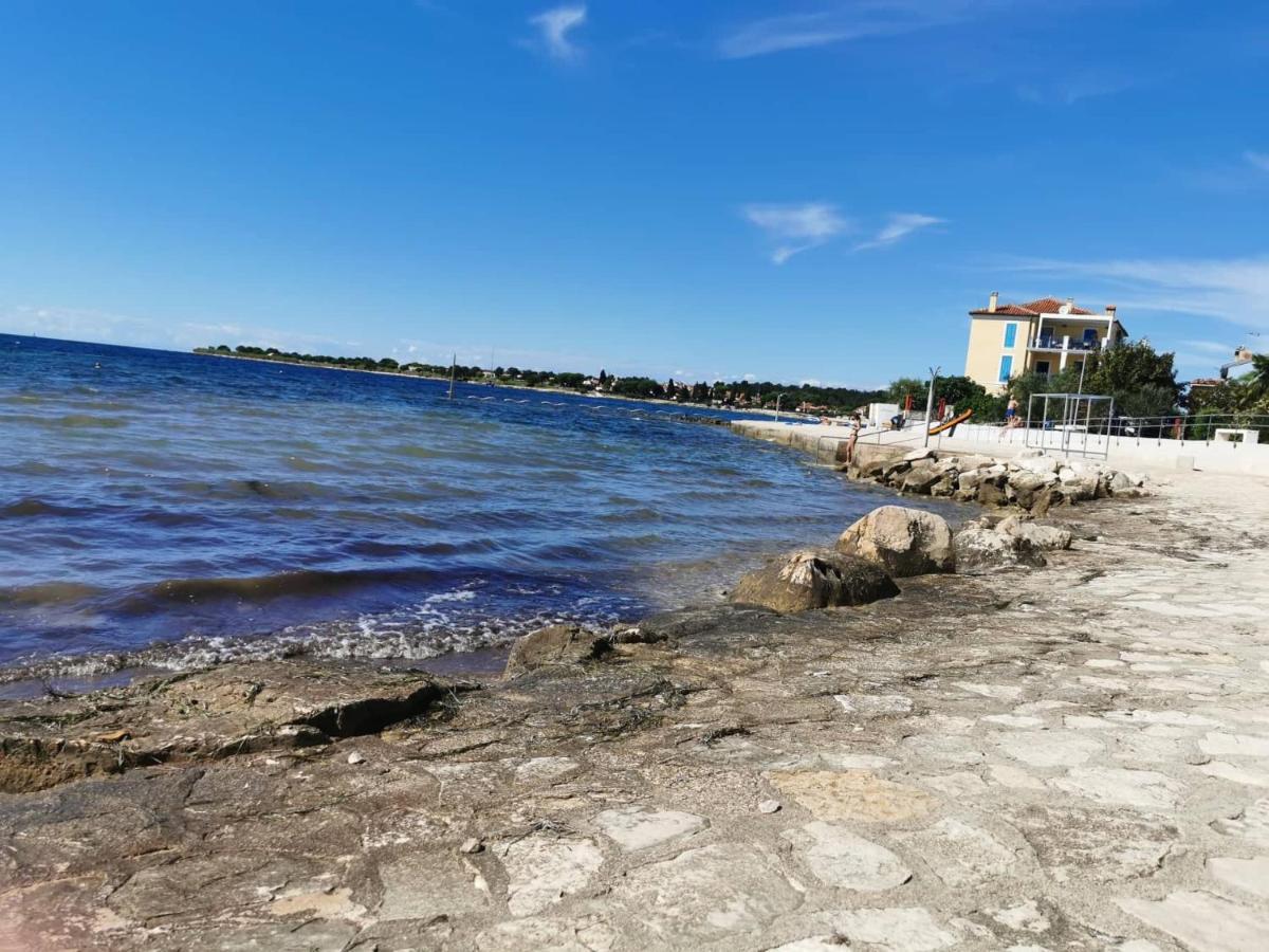 App Palcic K Lejlighed Novigrad Istria Eksteriør billede
