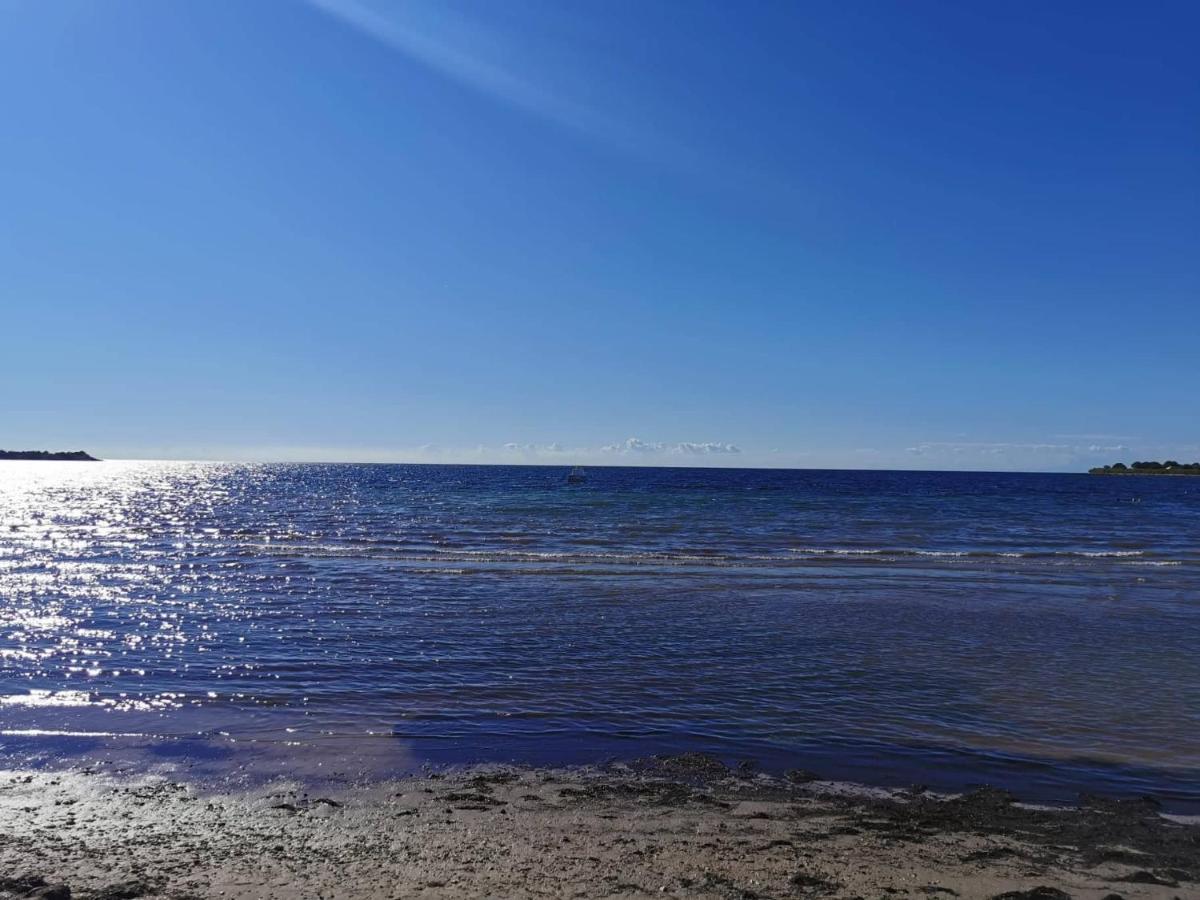 App Palcic K Lejlighed Novigrad Istria Eksteriør billede